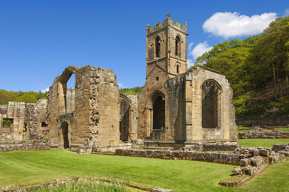 Church ruin of the 14th century Mount Grace Carthusian Priory, North Yorkshire, Yorkshire, England, United Kingdom, Europe