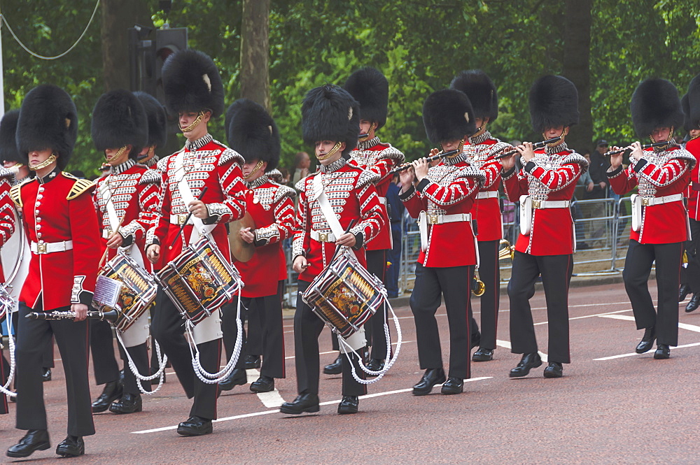 Guards Band, drums and pipes, marching to the Trooping of the Colour, The Mall, London, England, United Kingdom, Europe