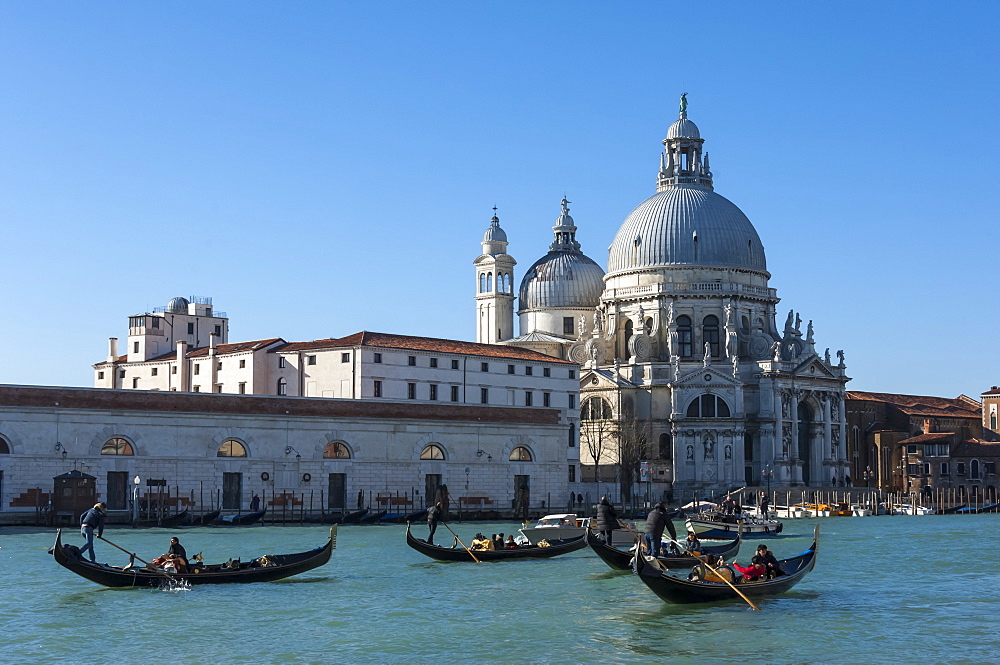 Gondolas on the Grand Canal, Chiesa Della Salute, Venice, UNESCO World Heritage Site, Veneto, Italy, Europe