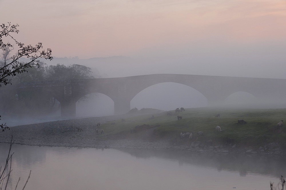 Eden Bridge, Lazonby, Eden Valley, Cumbria, England, United Kingdom, Europe