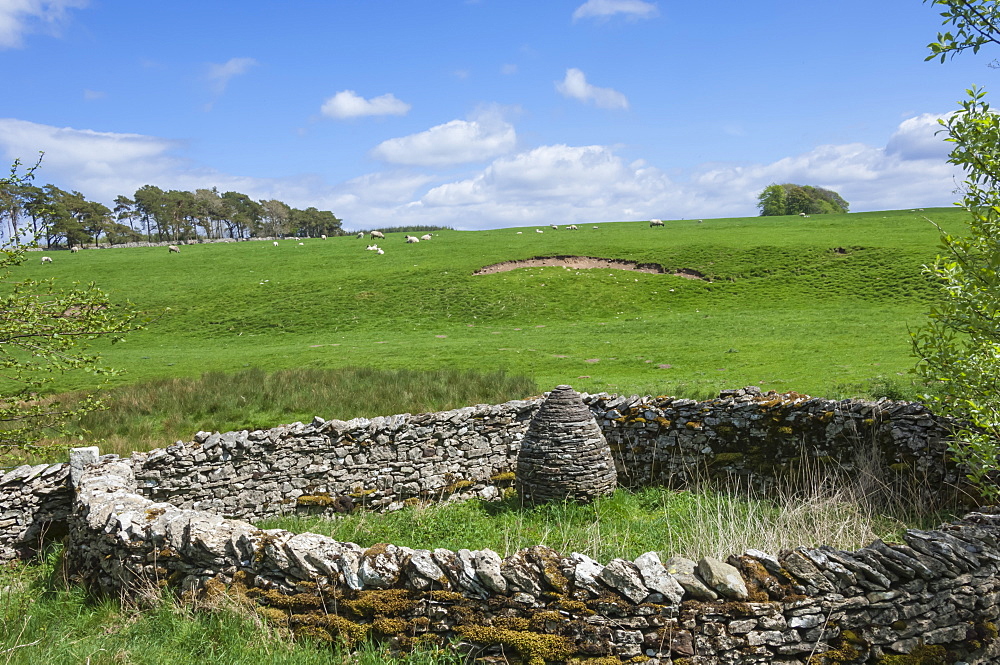 Raisbeck Pinfold Cone, Eden Valley, Cumbria, England, United Kingdom, Europe