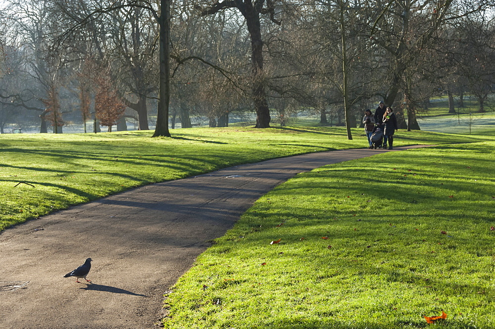 Green sunlight, Green Park, London, England, United Kingdom, Europe