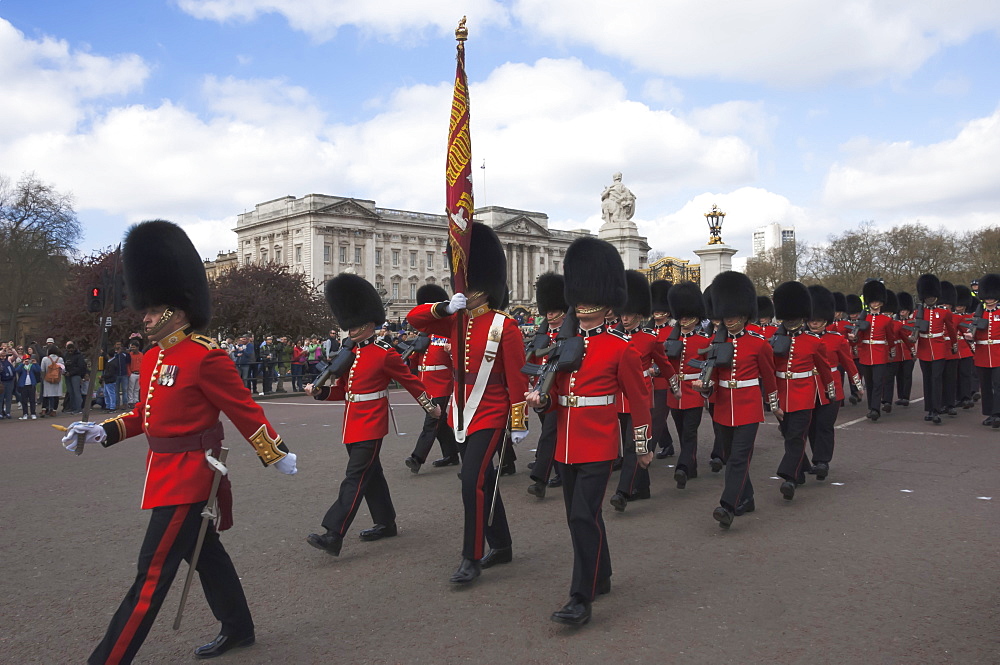 Coldstream Guards parading en route to Buckingham Palace, London, England, United Kingdom, Europe