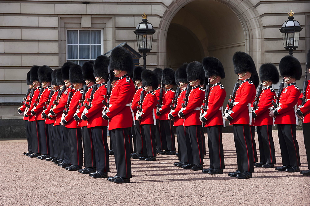 Coldstream Guards on parade during Changing of the Guard, Buckingham Palace, London, England, United Kingdom, Europe