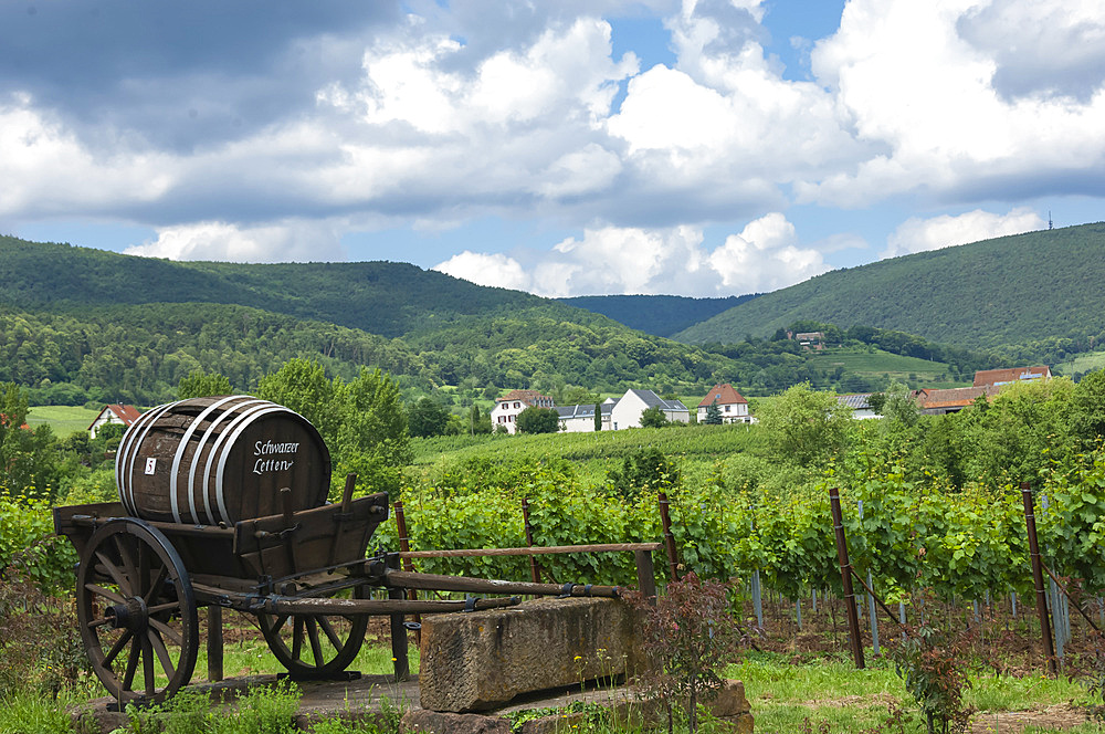 Pfalz wine area, ancient Barrel cart, Rhineland-Palatinate, Germany, Europe