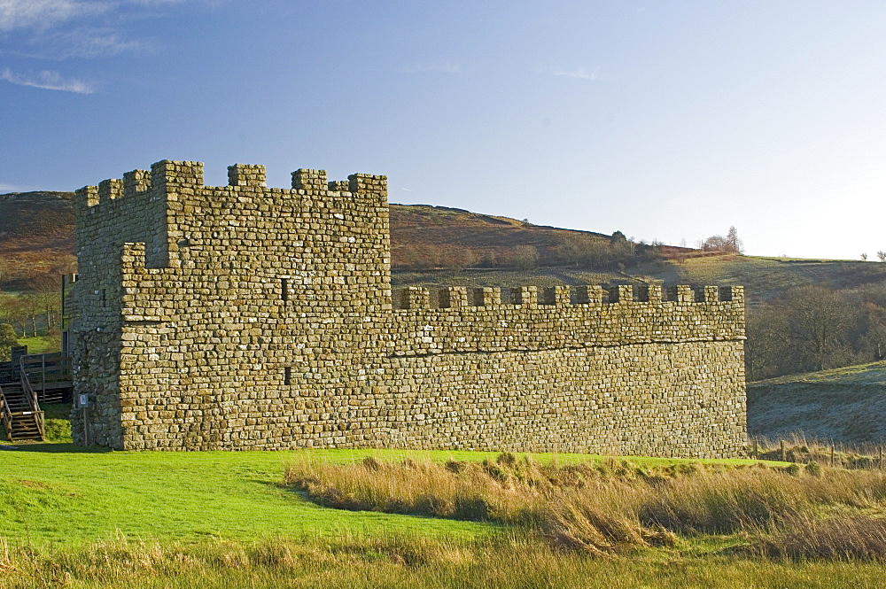 Part reconstruction of wall and tower at Roman settlement and fort at Vindolanda, UNESCO World Heritage Site, Northumbria, England, United Kingdom, Europe