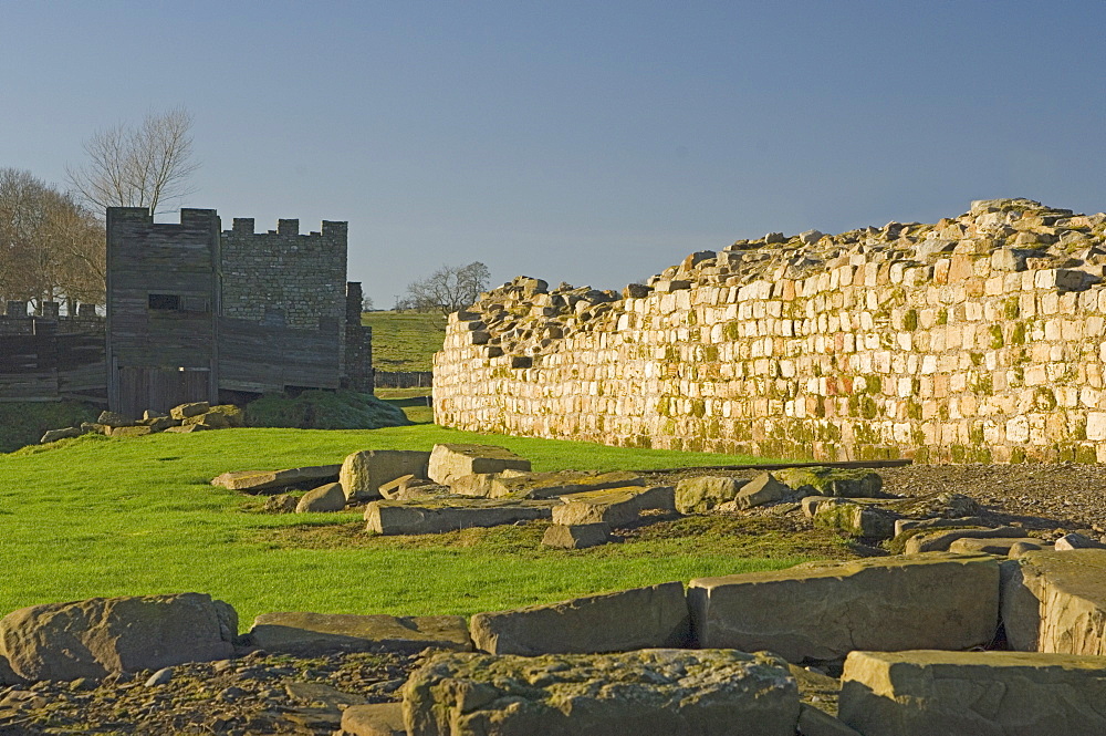 South wall of Roman Fort at Vindolanda, looking west to reconstruction, UNESCO World Heritage Site, Northumbria, England, United Kingdom, Europe