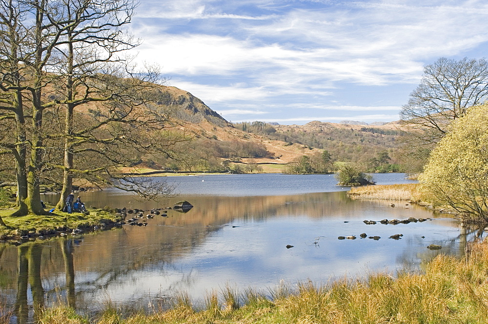 The Wordsworth lake, Rydal Water, Lake District National Park, Cumbria, England, United Kingdom, Europe