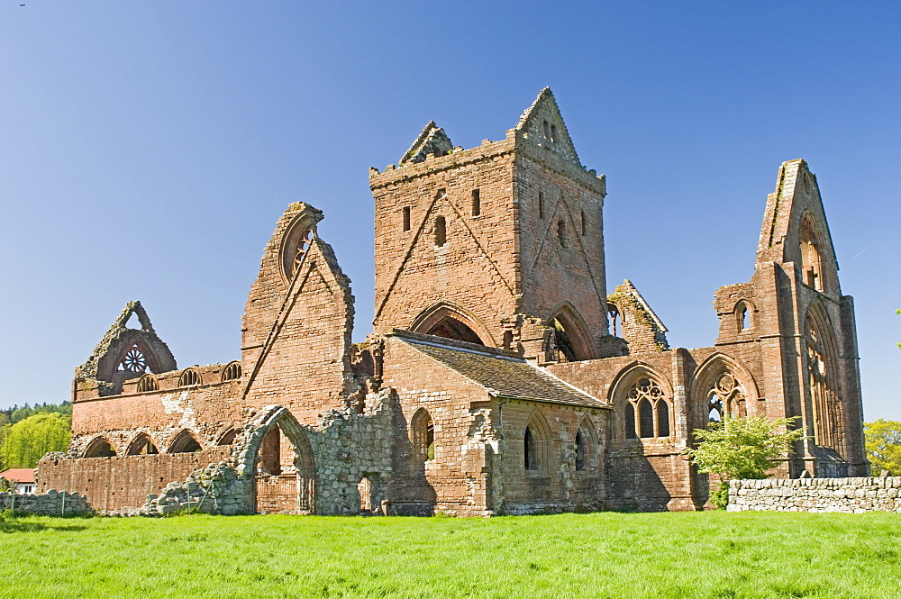 The 13th century Cistercian Sweetheart Abbey, founded by Devorgilla, Lady of Galloway, New Abbey, Dumfries and Galloway, Scotland, United Kingdom, Europe