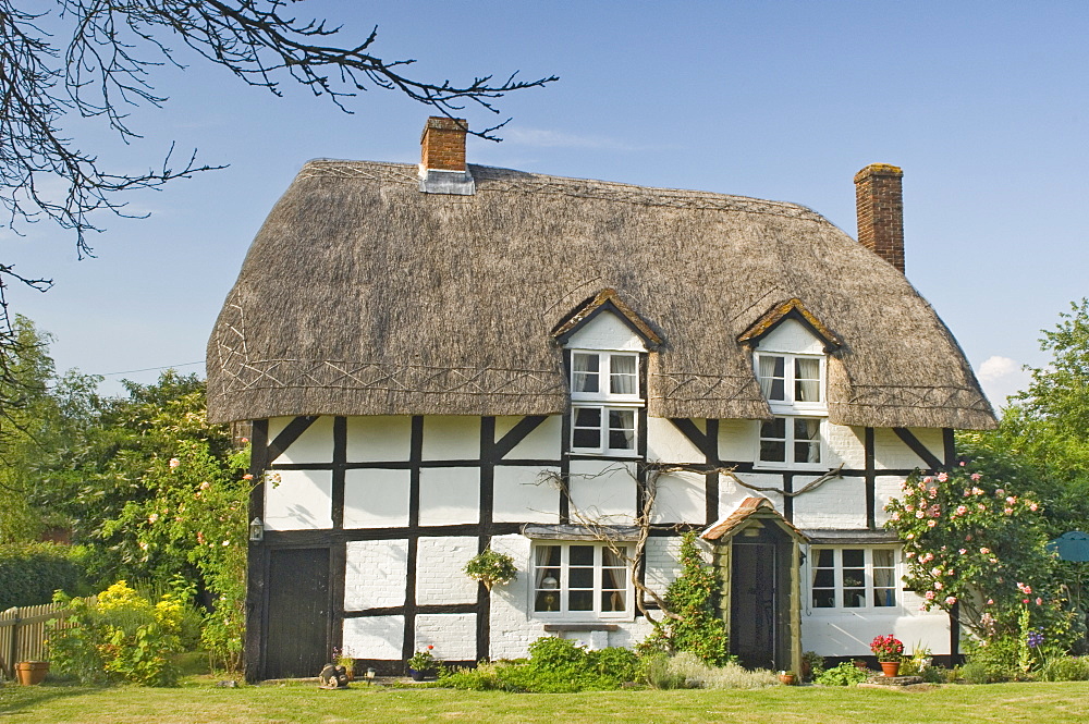 Original timber framed and thatched cottage, Hampshire, England, United Kingdom, Europe