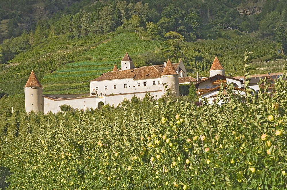 Fortified house surrounded by apple orchards, Coldrano, Venosta valley, Western Dolomites, Italy, Europe