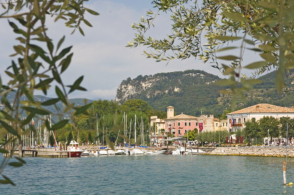 Bardolino, Lake Garda, Veneto, Italy, Europe