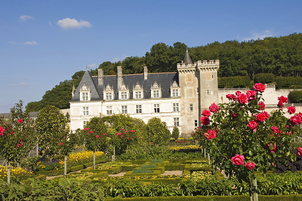 The Chateau de Villandry, UNESCO World Heritage Site, Indre-et-Loire, Loire Valley, France, Europe