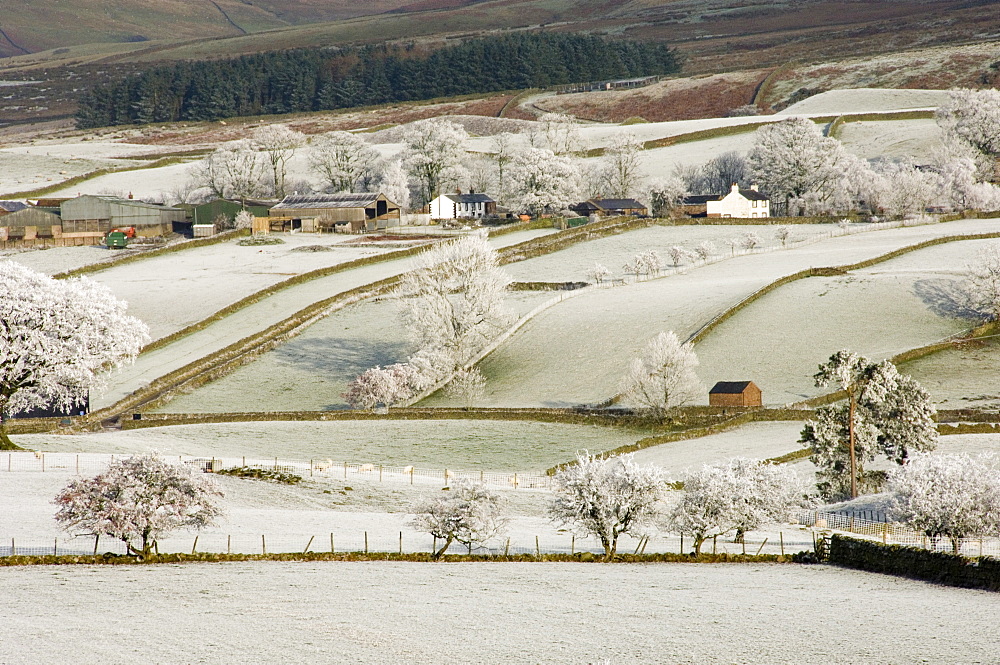 Farm community, the Pennines in winter, Cumbria, England, United Kingdom, Europe