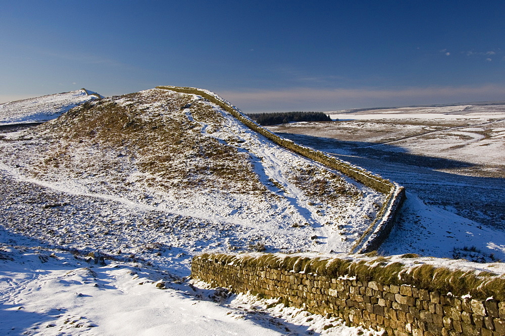 Looking west near Housteads Fort, Hadrians Wall, UNESCO World Heritage Site, Northumbria, England, United Kingdom, Europe