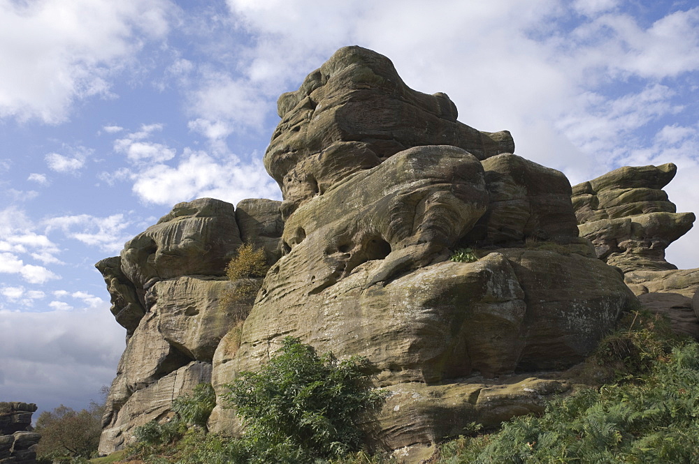 Brimham Rocks, Brimham Moor, near Ripon, North Yorkshire, England, United Kingdom, Europe