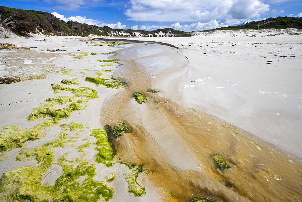 Hanson Bay, Kangaroo Island, South Australia, Australia, Pacific