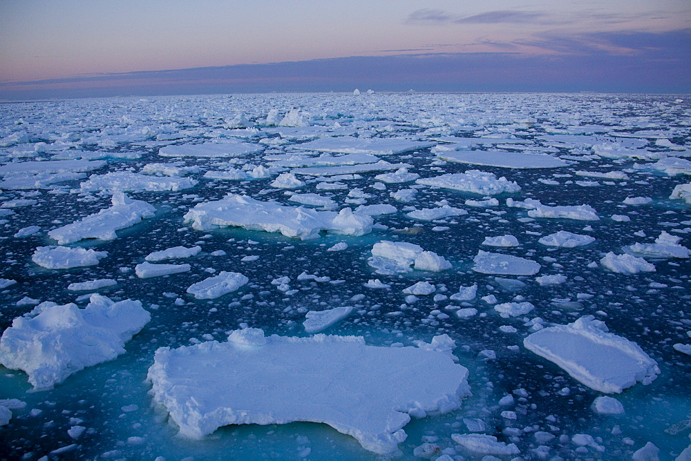 Pack ice at midnight, Southern Ocean, Antarctic, Polar Regions