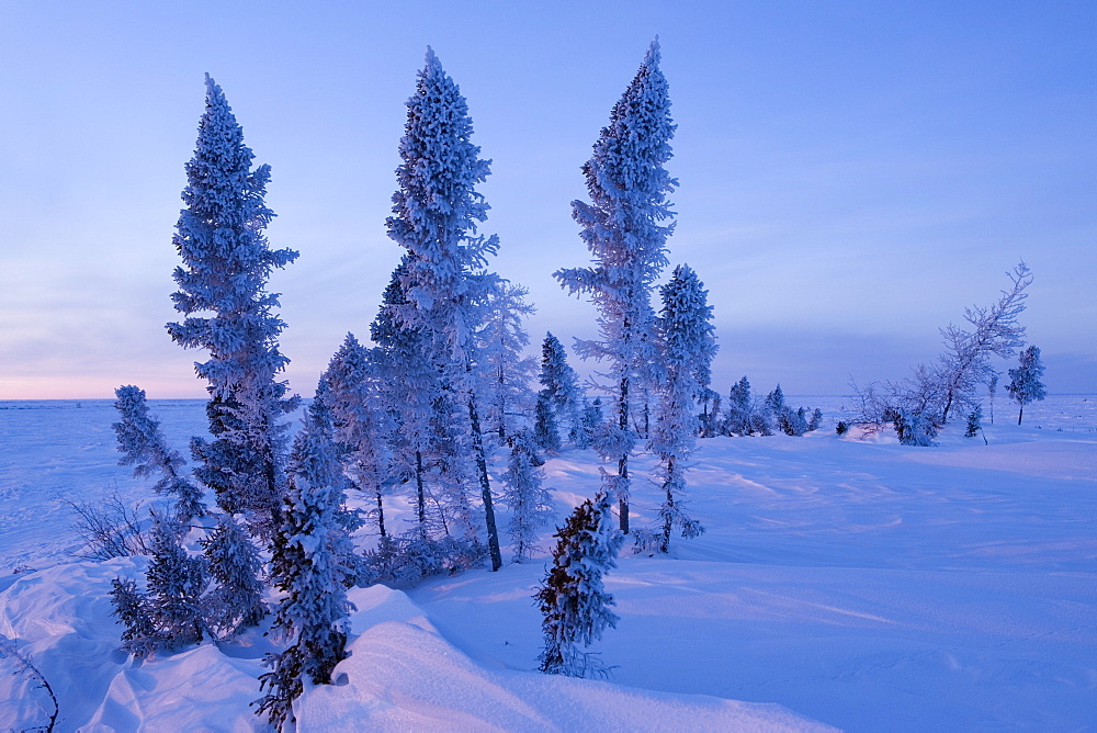 Winter Scenery, Churchill, Manitoba, Canada