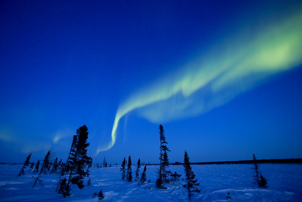 Northern Light, Aurora Borealis, Churchill, Manitoba, Canada