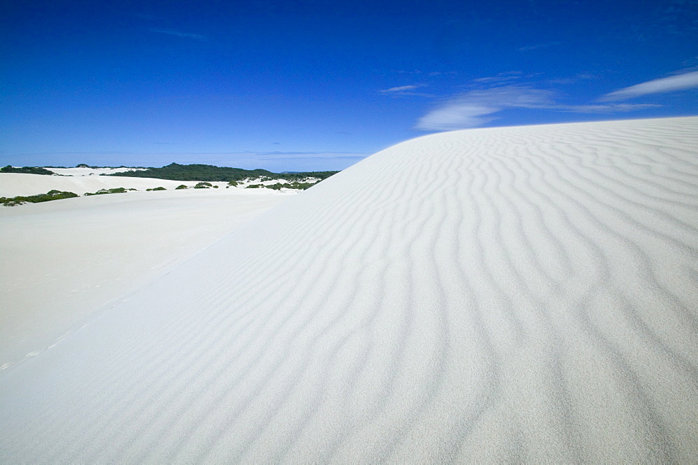 Little Sahara, Kangaroo Island, South Australia, Australia, Pacific