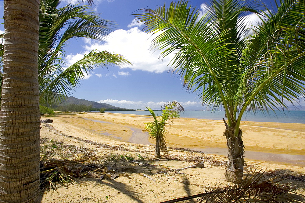 Beach at Magnetic Island, Queensland, Australia, Pacific