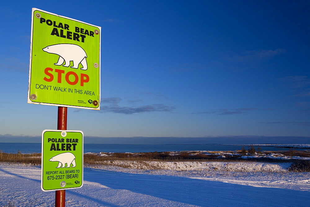 Sign, Polar bear alert at Hudson Bay, Churchill, Manitoba, Canada, North America