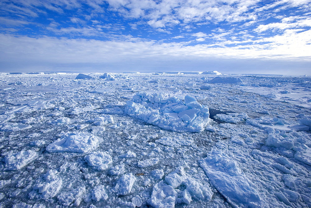 Pack ice and icebergs, Antarctic Peninsula, Weddell Sea, Antarctica, Polar Regions