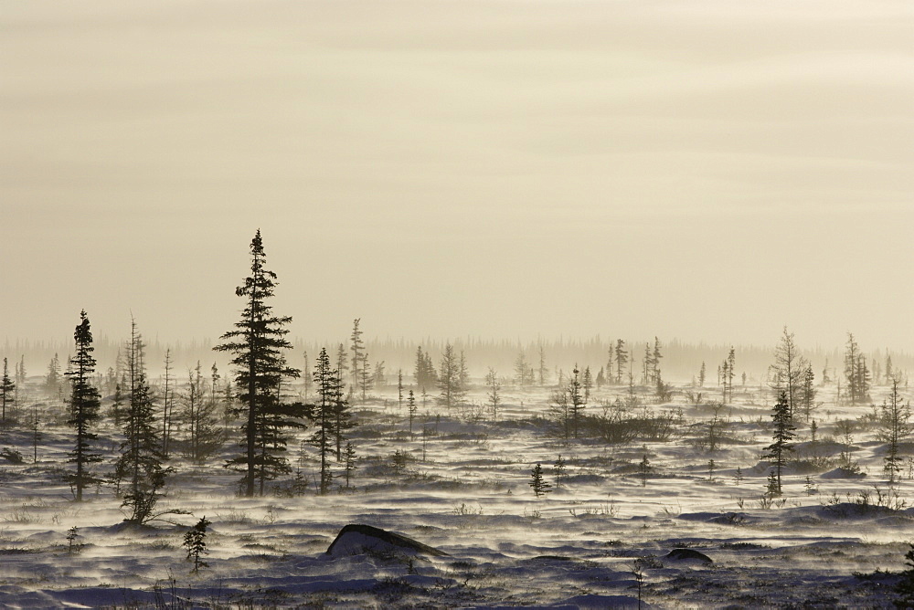 Snow storm, blizzard, Churchill, Hudson Bay, Manitoba, Canada, North America