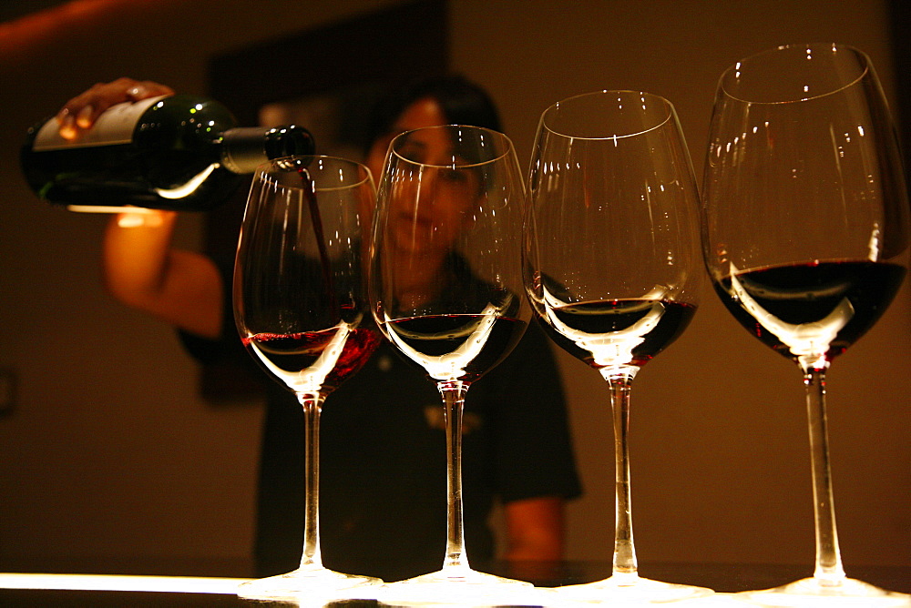 Woman pouring wine at the tasting room of Vines of Mendoza wine bar, Mendoza, Argentina, South America