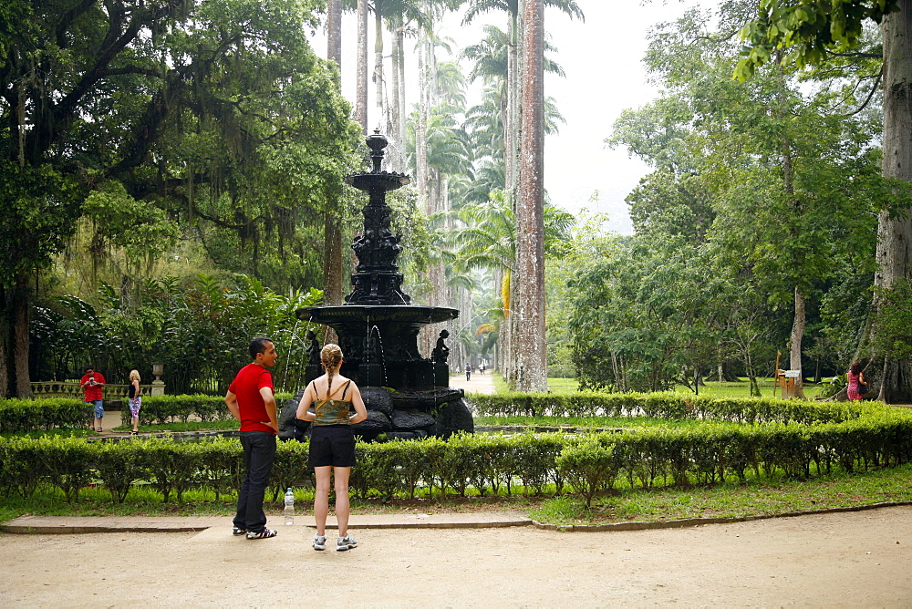 Jardim Botanico (Botanical Gardens), Rio de Janeiro, Brazil, South America