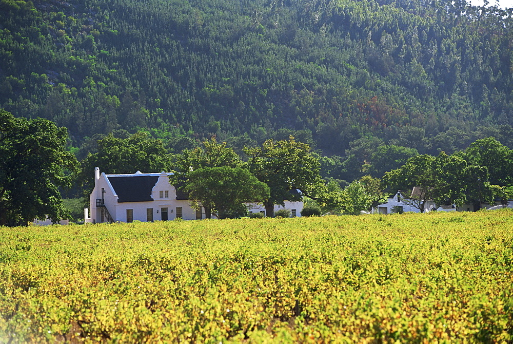 House in the wine growing area of Franschhoek, Cape Province, South Africa, Africa