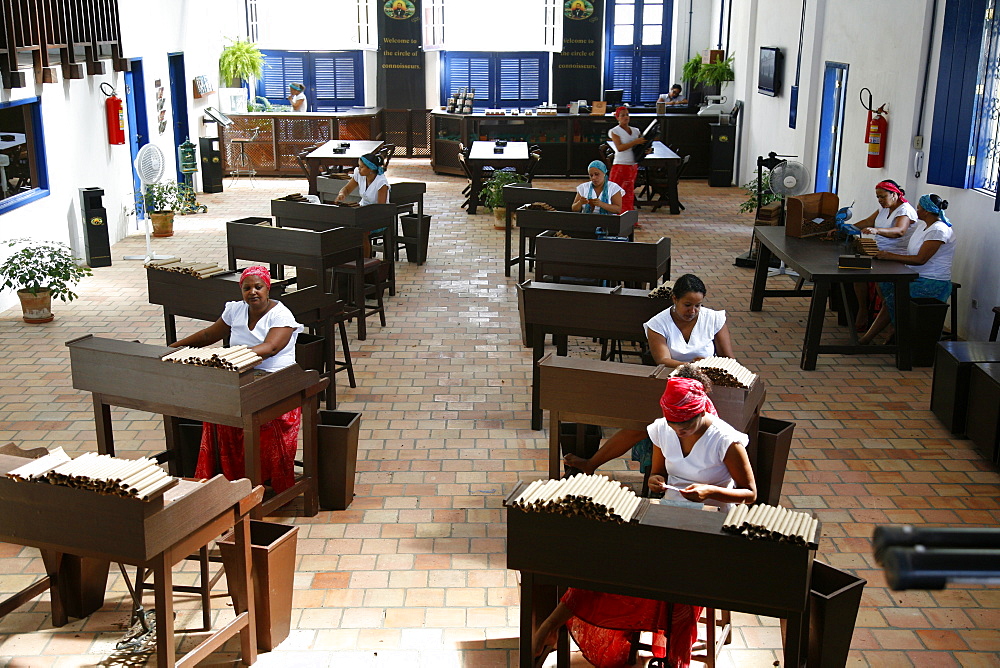 Women making cigars at the Dannemann factory in Sao Felix, Bahia, Brazil, South America 