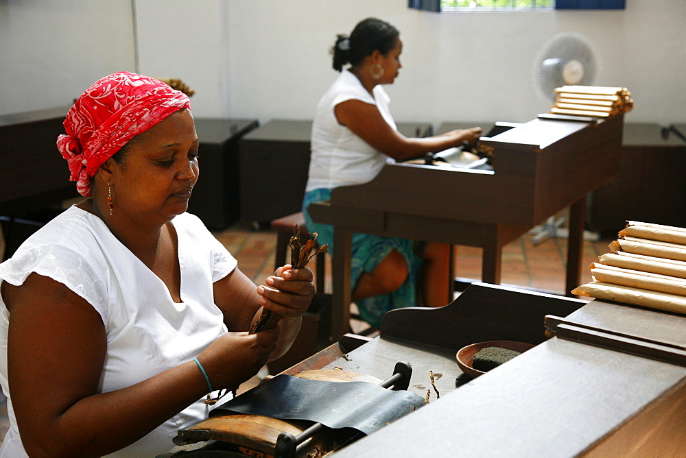 Women making cigars at the Dannemann factory in Sao Felix, Bahia, Brazil, South America 