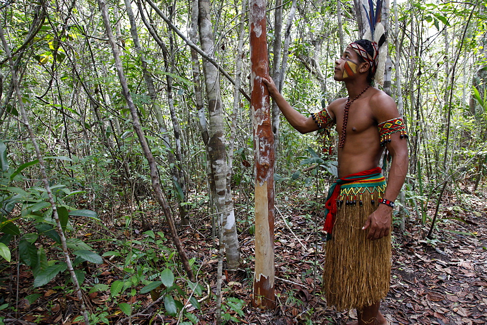 Pataxo Indian man walking at the Reserva Indigena da Jaqueira near Porto Seguro, Bahia, Brazil, South America