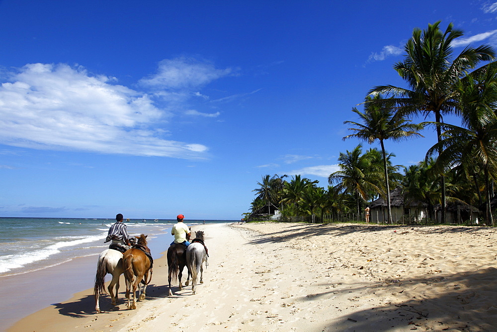 Praia Rio Verde beach, Trancoso, Bahia, Brazil, South America