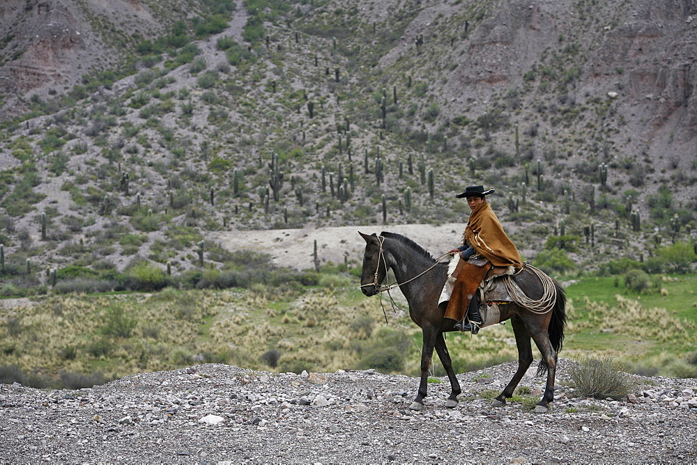 Northern gaucho riding a horse near Purmamarca, Quebrada de Humahuaca, Jujuy province, Argentina, South America