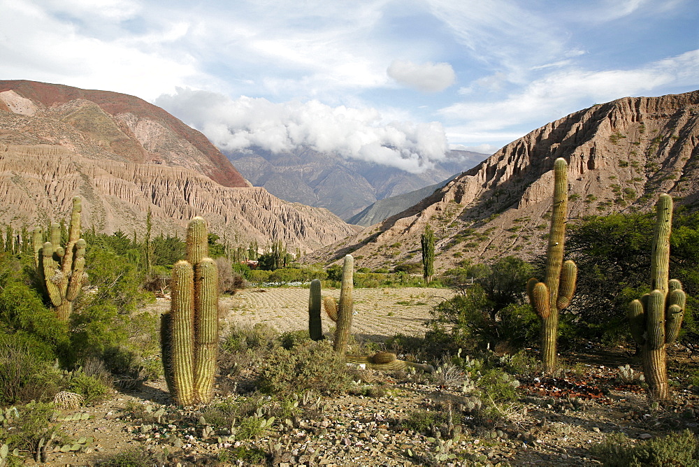 Landscape near Purmamarca, Jujuy Province, Argentina, South America 