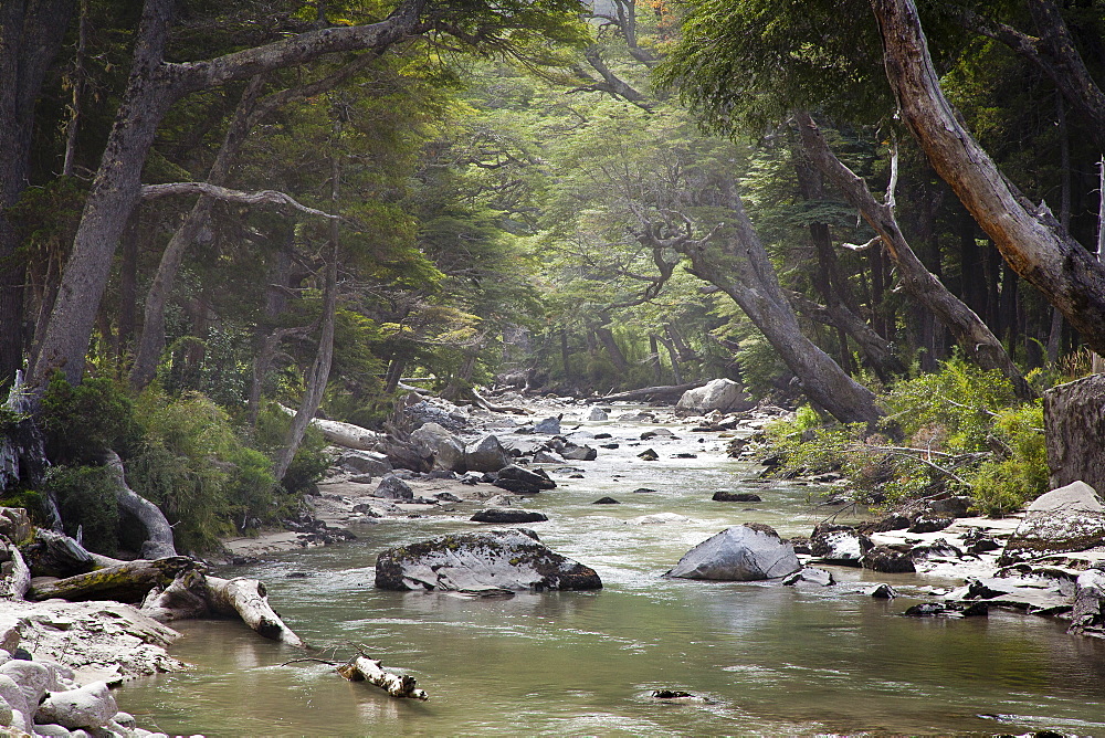 Pichi Traful River, Patagonia, Argentina, South America 