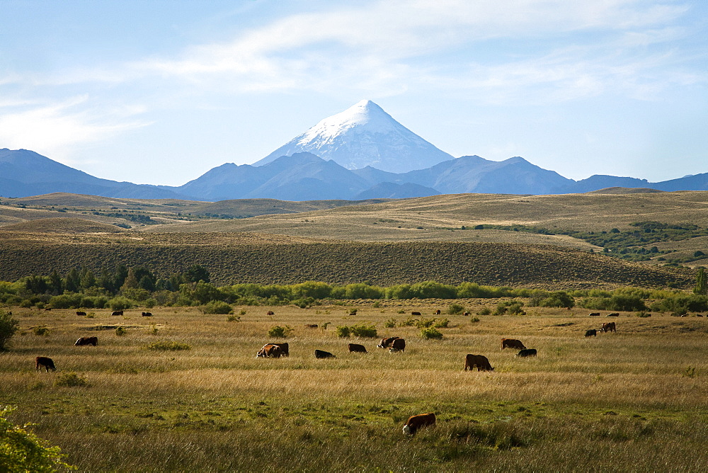 View over Lanin volcano, Lanin National Park, Patagonia, Argentina, South America 