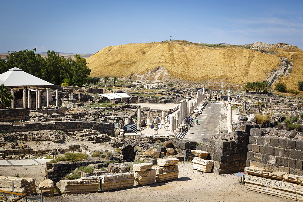 Ruins of the Roman-Byzantine city of Scythopolis, Tel Beit Shean National Park, Beit Shean, Israel, Middle East 