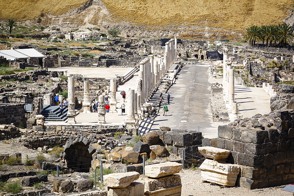 Ruins of the Roman-Byzantine city of Scythopolis, Tel Beit Shean National Park, Beit Shean, Israel, Middle East 