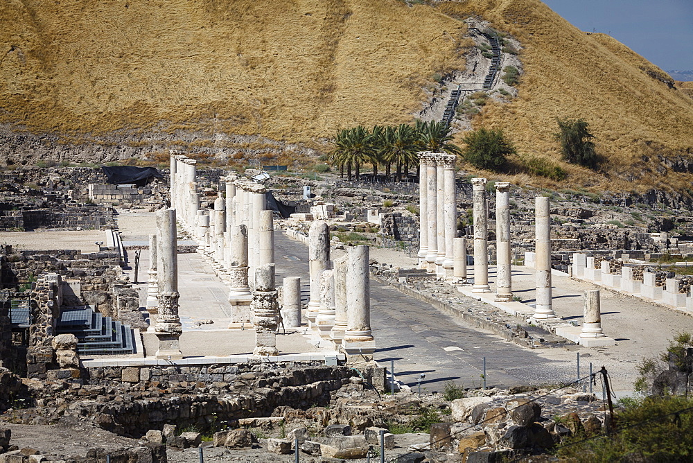 Ruins of the Roman-Byzantine city of Scythopolis, Tel Beit Shean National Park, Beit Shean, Israel, Middle East 