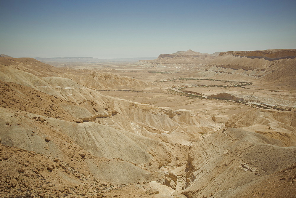 Landscape of the Zin valley, Negev region, Israel, Middle East 