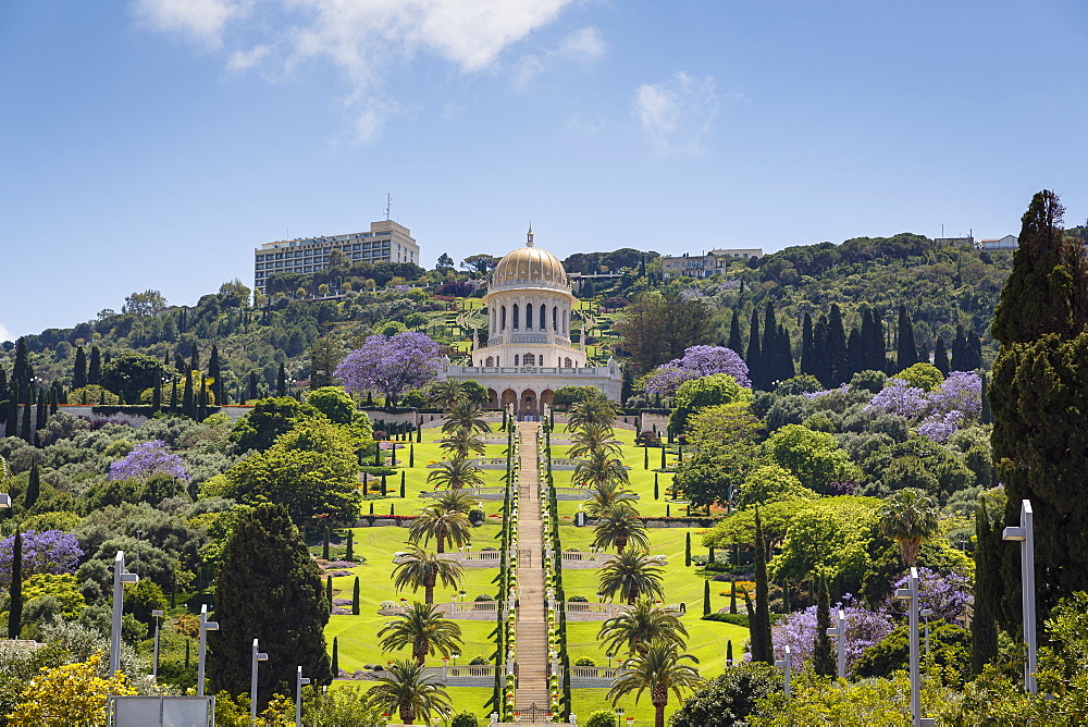 View over the Bahai Gardens, Haifa, Israel, Middle East 