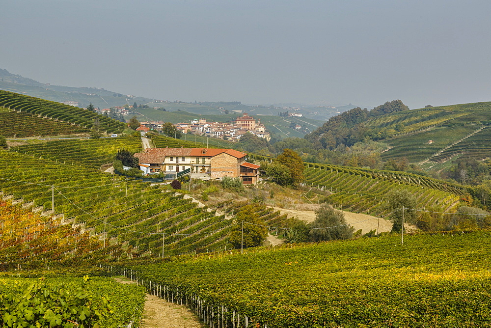 View over Barolo village and vineyards, Langhe, Cuneo district, Piedmont, Italy, Europe