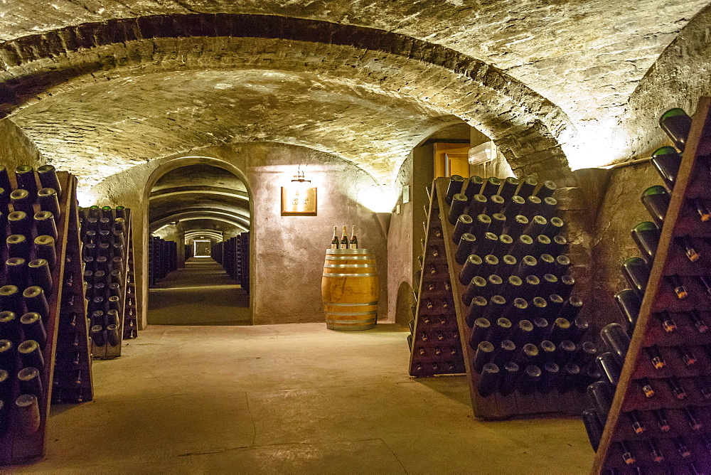 The Gancia historic wine cellar in Canelli, Asti Spumante, Piedmont, Italy, Europe