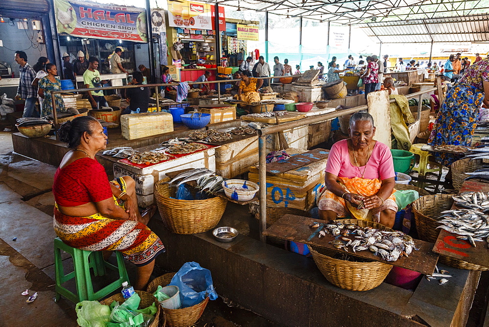 Fish Market, Calangute, Goa, India, Asia