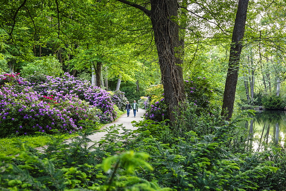 Tiergarten park, Berlin, Germany, Europe