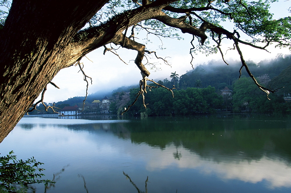 Early morning view over Kandy Lake, Kandy, Sri Lanka, Asia